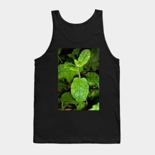 Mint plant leaves Tank Top